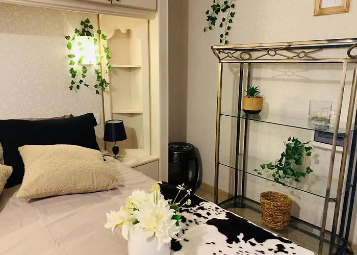 Valley Morlaca Cluj-Napoca